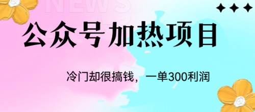 冷门公众号加热项目，一单利润300+_双星网创_创业赚钱_抖音教程_短视频教程-创业赚钱_抖音教程_短视频教程