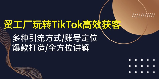 （10302期）外贸工厂玩转TikTok高效获客，多种引流方式/账号定位/爆款打造/全方位讲解_双星网创_创业赚钱_抖音教程_短视频教程-创业赚钱_抖音教程_短视频教程