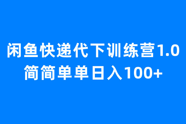闲鱼快递代下训练营1.0，简简单单日入100+_双星网创_创业赚钱_抖音教程_短视频教程-创业赚钱_抖音教程_短视频教程
