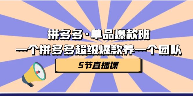 拼多多·单品爆款班，一个拼多多超级爆款养一个团队（5节直播课）_双星网创_创业赚钱_抖音教程_短视频教程-创业赚钱_抖音教程_短视频教程