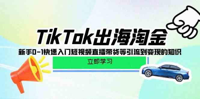 TikTok出海淘金，新手0-1快速入门短视频直播带货等引流到变现的知识_双星网创_创业赚钱_抖音教程_短视频教程-创业赚钱_抖音教程_短视频教程