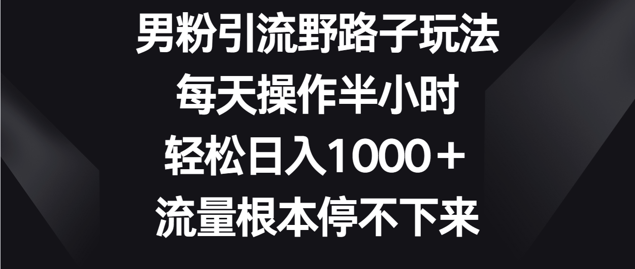 男粉引流野路子玩法，每天操作半小时轻松日入1000＋，流量根本停不下来_双星网创_创业赚钱_抖音教程_短视频教程-创业赚钱_抖音教程_短视频教程