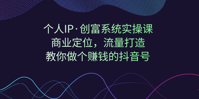 个人IP·创富系统实操课：商业定位，流量打造，教你做个赚钱的抖音号_双星网创_创业赚钱_抖音教程_短视频教程-创业赚钱_抖音教程_短视频教程