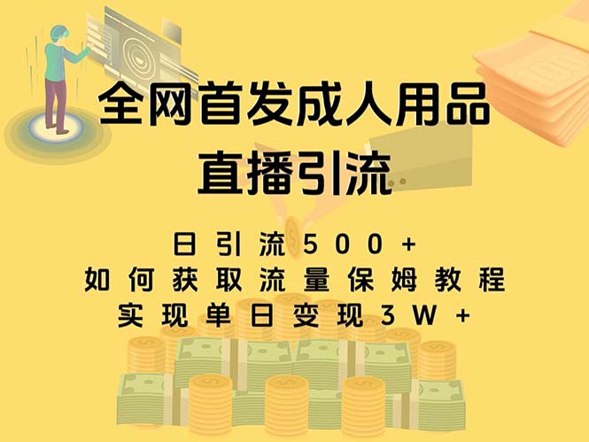 最新全网独创首发，成人用品直播引流获客暴力玩法，单日变现3w保姆级教程_双星网创_创业赚钱_抖音教程_短视频教程-创业赚钱_抖音教程_短视频教程