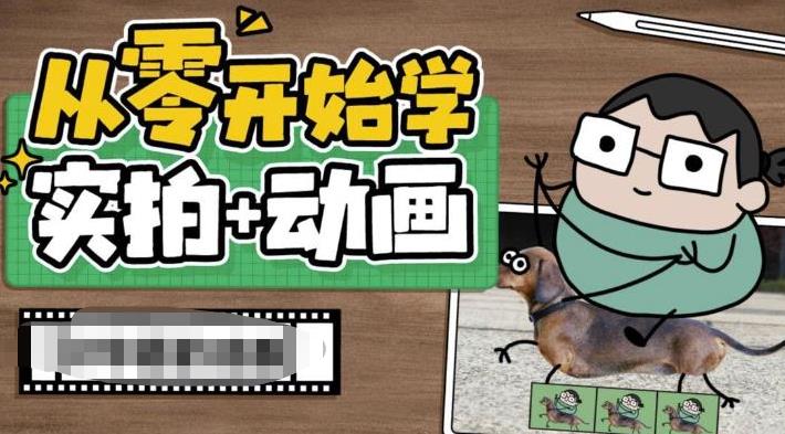从零开始学实拍加动画，实拍加动画创意教程（49节视频课）_双星网创_创业赚钱_抖音教程_短视频教程-创业赚钱_抖音教程_短视频教程