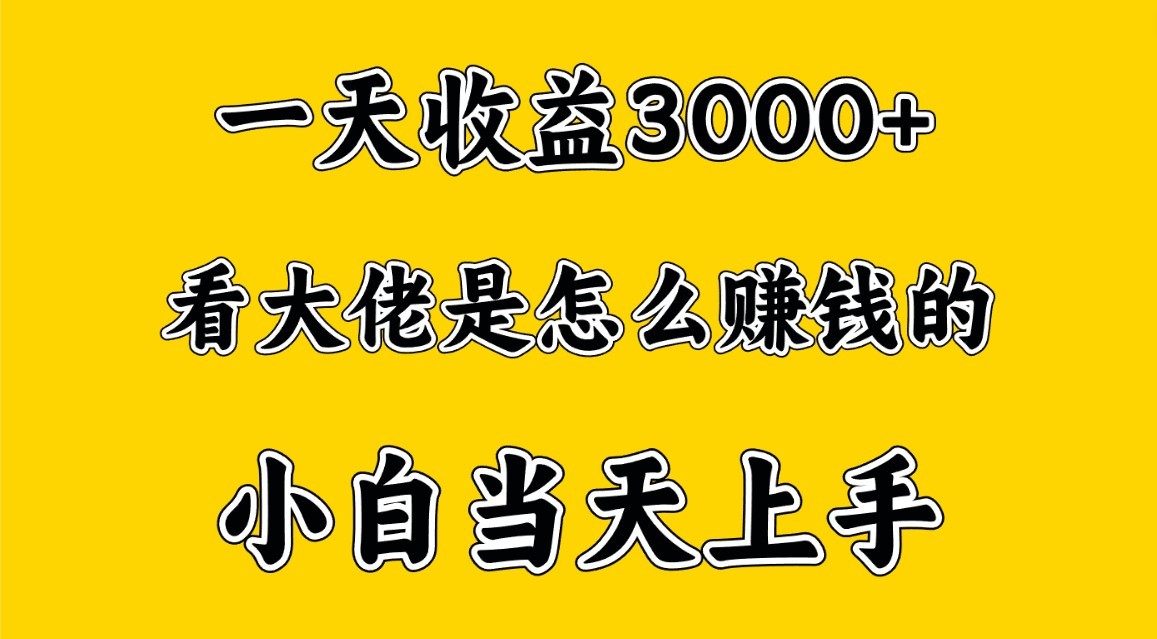 一天赚3000多，大佬是这样赚到钱的，小白当天上手，穷人翻身项目_双星网创_创业赚钱_抖音教程_短视频教程-创业赚钱_抖音教程_短视频教程