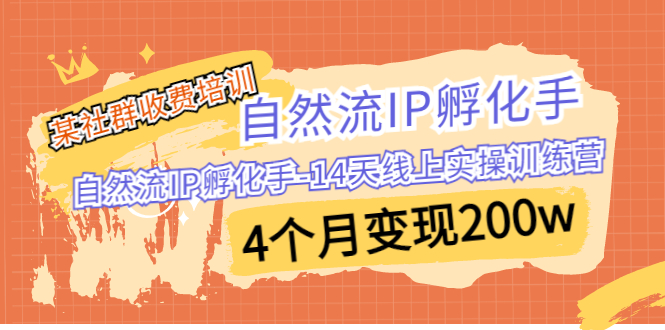 某社群收费培训：自然流IP 孵化手-14天线上实操训练营 4个月变现200w_双星网创_创业赚钱_抖音教程_短视频教程-创业赚钱_抖音教程_短视频教程