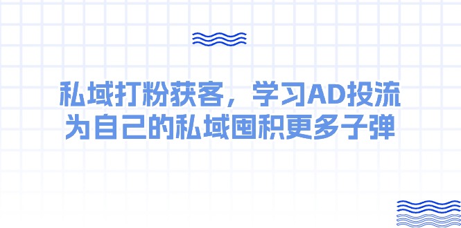（10728期）某收费课：私域打粉获客，学习AD投流，为自己的私域囤积更多子弹_双星网创_创业赚钱_抖音教程_短视频教程-创业赚钱_抖音教程_短视频教程