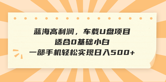 蓝海高利润，车载U盘项目，适合0基础小白，一部手机轻松实现日入500+_双星网创_创业赚钱_抖音教程_短视频教程-创业赚钱_抖音教程_短视频教程