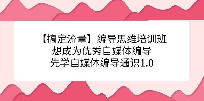 【搞定流量】编导思维培训班，想成为优秀自媒体编导先学自媒体编导通识1.0_双星网创_创业赚钱_抖音教程_短视频教程-创业赚钱_抖音教程_短视频教程