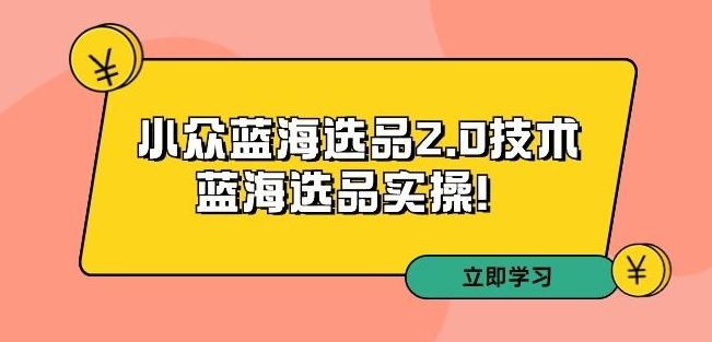 拼多多培训第33期：小众蓝海选品2.0技术-蓝海选品实操！_双星网创_创业赚钱_抖音教程_短视频教程-创业赚钱_抖音教程_短视频教程