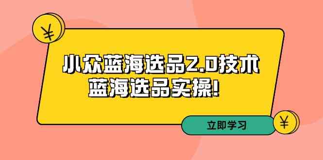 （9189期）拼多多培训第33期：小众蓝海选品2.0技术-蓝海选品实操！_双星网创_创业赚钱_抖音教程_短视频教程-创业赚钱_抖音教程_短视频教程