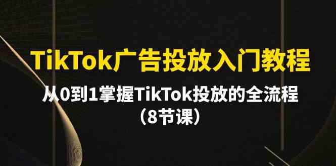 （10085期）TikTok广告投放入门教程，从0到1掌握TikTok投放的全流程（8节课）_双星网创_创业赚钱_抖音教程_短视频教程-创业赚钱_抖音教程_短视频教程