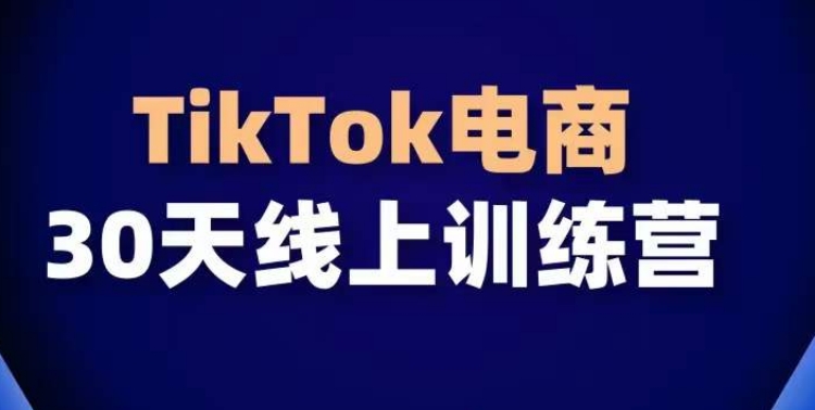 TikTok电商带货30天线上课，不可错过的全球流量洼地！_双星网创_创业赚钱_抖音教程_短视频教程-创业赚钱_抖音教程_短视频教程