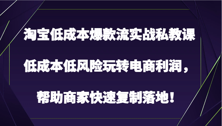 淘宝低成本爆款流实战私教课，低成本低风险玩转电商利润，帮助商家快速复制落地！_双星网创_创业赚钱_抖音教程_短视频教程-创业赚钱_抖音教程_短视频教程