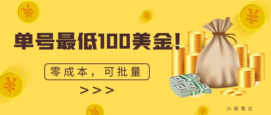 单号最低100美金，零成本，小白无脑操作。可复制，可扩大。_双星网创_创业赚钱_抖音教程_短视频教程-创业赚钱_抖音教程_短视频教程