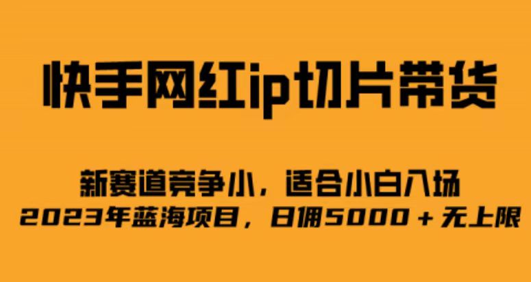 快手网红ip切片新赛道，竞争小事，适合小白 2023蓝海项目_双星网创_创业赚钱_抖音教程_短视频教程-创业赚钱_抖音教程_短视频教程