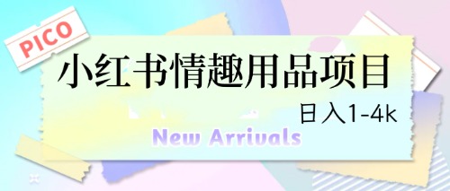 最新小红书情趣用品项目，日入1-4k_双星网创_创业赚钱_抖音教程_短视频教程-创业赚钱_抖音教程_短视频教程