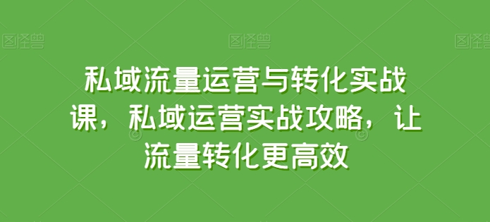 私域流量运营与转化实战课，私域运营实战攻略，让流量转化更高效_双星网创_创业赚钱_抖音教程_短视频教程-创业赚钱_抖音教程_短视频教程
