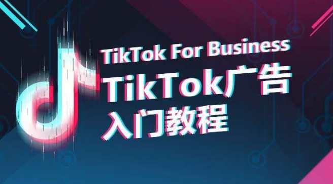 TikTok广告入门教程，从0到1掌握TikTok投放的全流程_双星网创_创业赚钱_抖音教程_短视频教程-创业赚钱_抖音教程_短视频教程