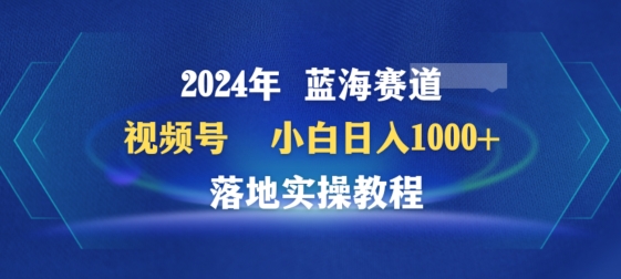 2024年视频号蓝海赛道百家讲坛，小白日入1000+，落地实操教程_双星网创_创业赚钱_抖音教程_短视频教程-创业赚钱_抖音教程_短视频教程