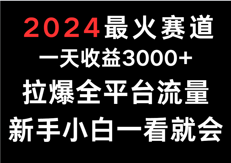 2024最火赛道，一天收一3000+.拉爆全平台流量，新手小白一看就会_双星网创_创业赚钱_抖音教程_短视频教程-创业赚钱_抖音教程_短视频教程
