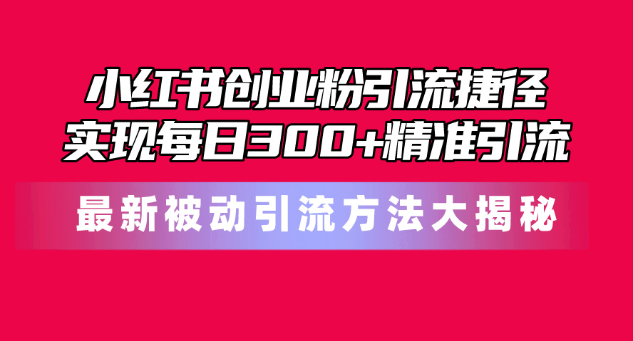 （10692期）小红书创业粉引流捷径！最新被动引流方法大揭秘，实现每日300+精准引流_双星网创_创业赚钱_抖音教程_短视频教程-创业赚钱_抖音教程_短视频教程
