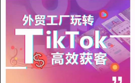 外贸工厂玩转TikTok高效获客，多种引流方式与账号定位技巧，拆解爆款短视频打造成功案例_双星网创_创业赚钱_抖音教程_短视频教程-创业赚钱_抖音教程_短视频教程