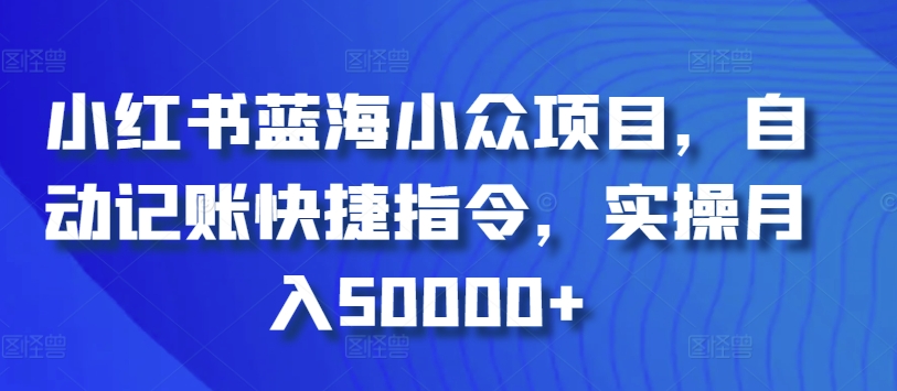 小红书蓝海小众项目，自动记账快捷指令，实操月入50000+_双星网创_创业赚钱_抖音教程_短视频教程-创业赚钱_抖音教程_短视频教程
