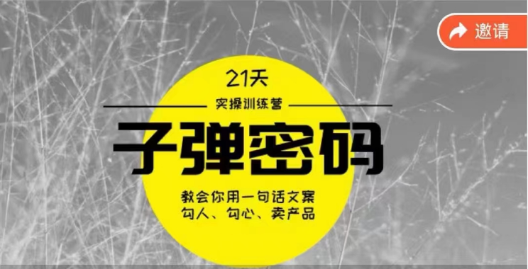《子弹密码训练营》用一句话文案勾人勾心卖产品，21天学到顶尖文案大师策略和技巧_双星网创_创业赚钱_抖音教程_短视频教程-创业赚钱_抖音教程_短视频教程