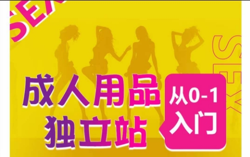 成人用品独立站从0-1入门，成品独立站运营全流程教学，七大好卖成品独立站推荐_双星网创_创业赚钱_抖音教程_短视频教程-创业赚钱_抖音教程_短视频教程