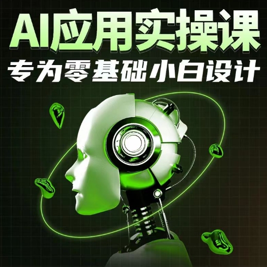 AI应用实操课，专为零基础小白设计_双星网创_创业赚钱_抖音教程_短视频教程-创业赚钱_抖音教程_短视频教程