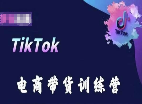 TikTok电商带货训练营，跟随时代潮流，跨境掘金_双星网创_创业赚钱_抖音教程_短视频教程-创业赚钱_抖音教程_短视频教程