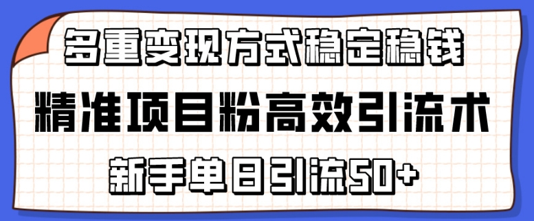 精准项目粉高效引流术，新手单日引流50+，多重变现方式稳定赚钱_双星网创_创业赚钱_抖音教程_短视频教程-创业赚钱_抖音教程_短视频教程