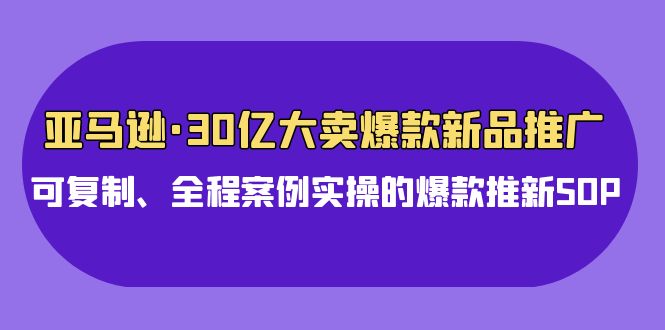 亚马逊30亿大卖爆款新品推广，可复制、全程案例实操的爆款推新SOP_双星网创_创业赚钱_抖音教程_短视频教程-创业赚钱_抖音教程_短视频教程