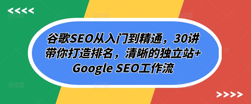 谷歌SEO从入门到精通，30讲带你打造排名，清晰的独立站+Google SEO工作流_双星网创_创业赚钱_抖音教程_短视频教程-创业赚钱_抖音教程_短视频教程