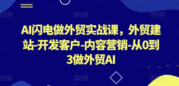 AI闪电做外贸实战课，​外贸建站-开发客户-内容营销-从0到3做外贸AI_双星网创_创业赚钱_抖音教程_短视频教程-创业赚钱_抖音教程_短视频教程