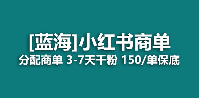 2023蓝海项目，小红书商单，快速千粉，长期稳定，最强蓝海没有之一_双星网创_创业赚钱_抖音教程_短视频教程-创业赚钱_抖音教程_短视频教程