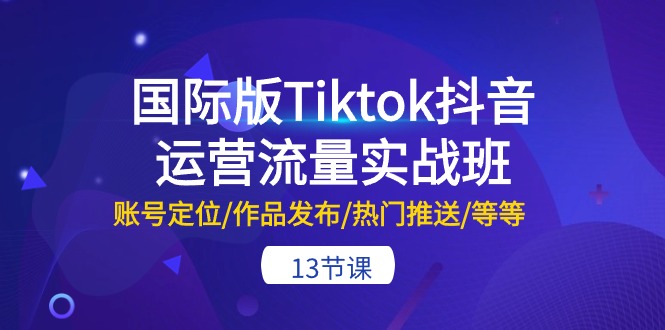 国际版Tiktok抖音运营流量实战班：账号定位/作品发布/热门推送/等等（13节）_双星网创_创业赚钱_抖音教程_短视频教程-创业赚钱_抖音教程_短视频教程