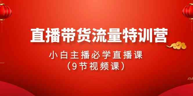 （9592期）2024直播带货流量特训营，小白主播必学直播课（9节视频课）_双星网创_创业赚钱_抖音教程_短视频教程-创业赚钱_抖音教程_短视频教程