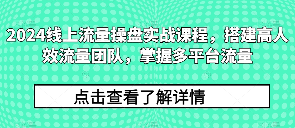2024线上流量操盘实战课程，搭建高人效流量团队，掌握多平台流量_双星网创_创业赚钱_抖音教程_短视频教程-创业赚钱_抖音教程_短视频教程