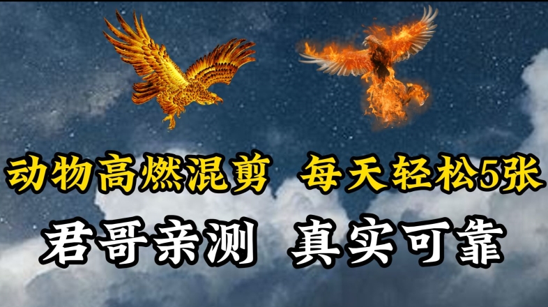 动物超燃混剪，每天轻松5张，剪辑简单大家爱看_双星网创_创业赚钱_抖音教程_短视频教程-创业赚钱_抖音教程_短视频教程