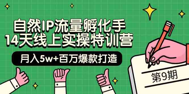 自然IP流量孵化手14天线上实操特训营【第9期】月入5w+百万爆款打造 (74节)_双星网创_创业赚钱_抖音教程_短视频教程-创业赚钱_抖音教程_短视频教程