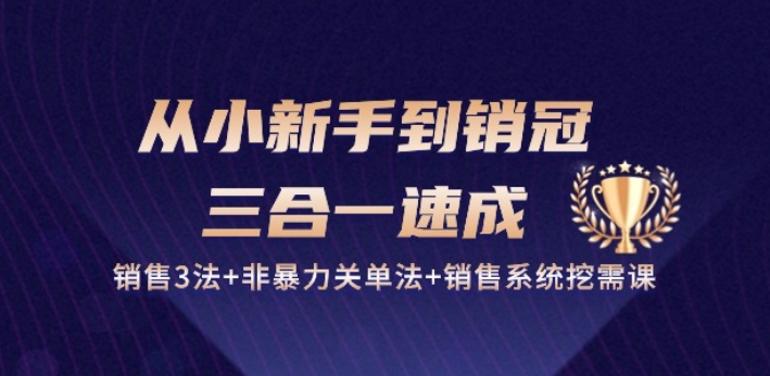从小新手到销冠 三合一速成：销售3法+非暴力关单法+销售系统挖需课 (27节)_双星网创_创业赚钱_抖音教程_短视频教程-创业赚钱_抖音教程_短视频教程