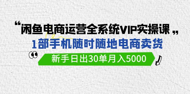 闲鱼电商运营全系统VIP实战课，1部手机随时随地卖货，新手日出30单月入5000_双星网创_创业赚钱_抖音教程_短视频教程-创业赚钱_抖音教程_短视频教程