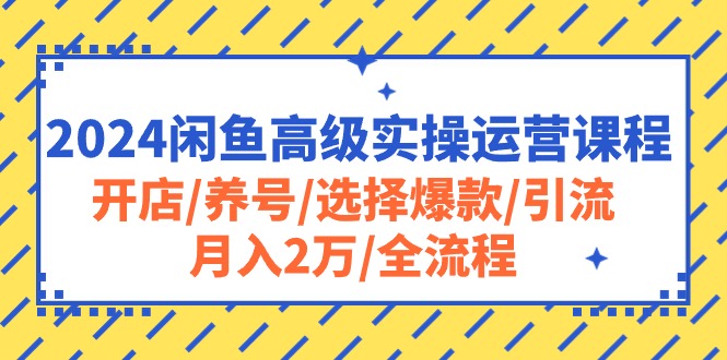 （10711期）2024闲鱼高级实操运营课程：开店/养号/选择爆款/引流/月入2万/全流程_双星网创_创业赚钱_抖音教程_短视频教程-创业赚钱_抖音教程_短视频教程