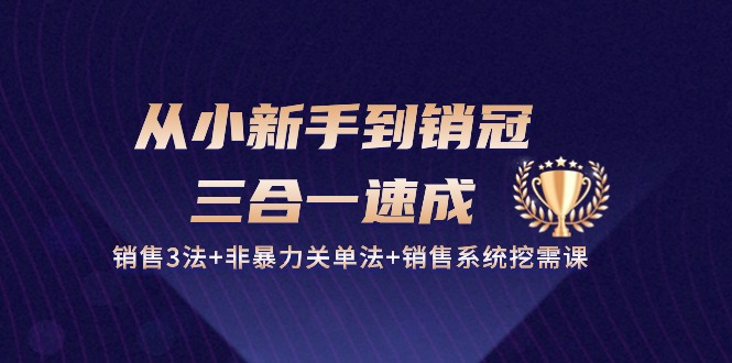 （10799期）从小新手到销冠 三合一速成：销售3法+非暴力关单法+销售系统挖需课 (27节)_双星网创_创业赚钱_抖音教程_短视频教程-创业赚钱_抖音教程_短视频教程