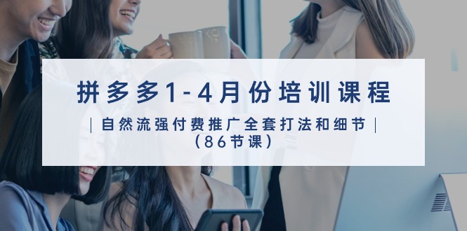 拼多多1-4月份培训课程，自然流强付费推广全套打法和细节（86节课）_双星网创_创业赚钱_抖音教程_短视频教程-创业赚钱_抖音教程_短视频教程