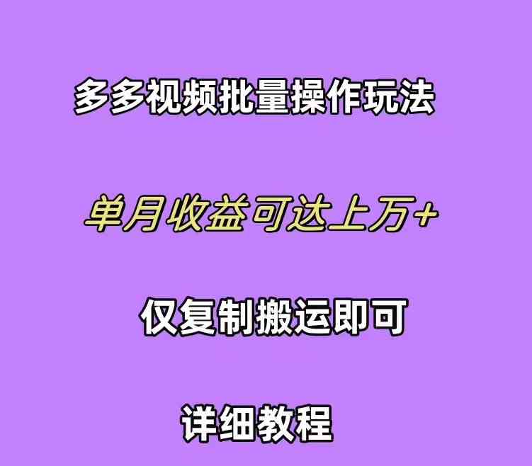 （10029期）拼多多视频带货快速过爆款选品教程 每天轻轻松松赚取三位数佣金 小白必…_双星网创_创业赚钱_抖音教程_短视频教程-创业赚钱_抖音教程_短视频教程