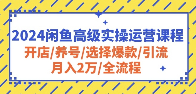 2024闲鱼高级实操运营课程：开店/养号/选择爆款/引流/月入2万/全流程_双星网创_创业赚钱_抖音教程_短视频教程-创业赚钱_抖音教程_短视频教程